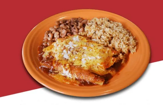 Enchilada plate with rice and beans at Taqueria El Tapatio